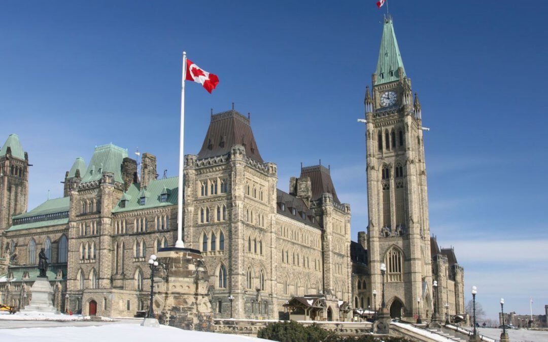 How One Bottle of Collagen Supports Six Canadian Companies